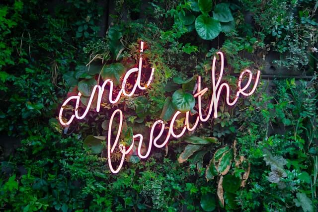 neon cursive letter spell out and breath over greenery