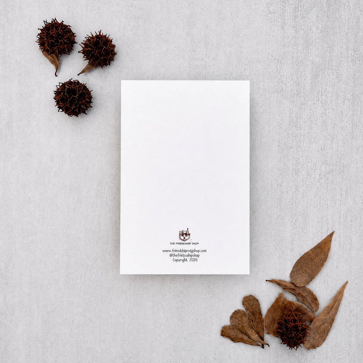 A minimalist white letterhead card with a small crest and contact details at the bottom, styled in a flat lay on a light gray textured surface with dried brown leaves and seed pods.