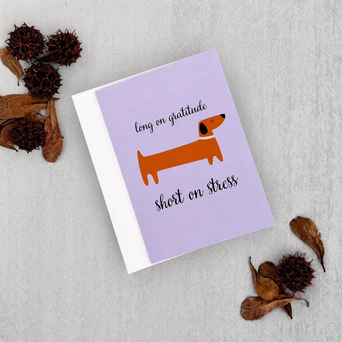 A lavender greeting card with a white envelope, featuring an orange dachshund illustration and the text 'long on gratitude short on stress', styled on a light gray textured surface with dried brown leaves and seed pods.
