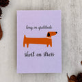 A square greeting card with a light lavender background, featuring a cartoon dachshund in orange and black with the text 'long on gratitude' above and 'short on stress' below. The card is styled in a flat-lay on a textured light gray surface with dried brown leaves and spiky seed pods in the corners.