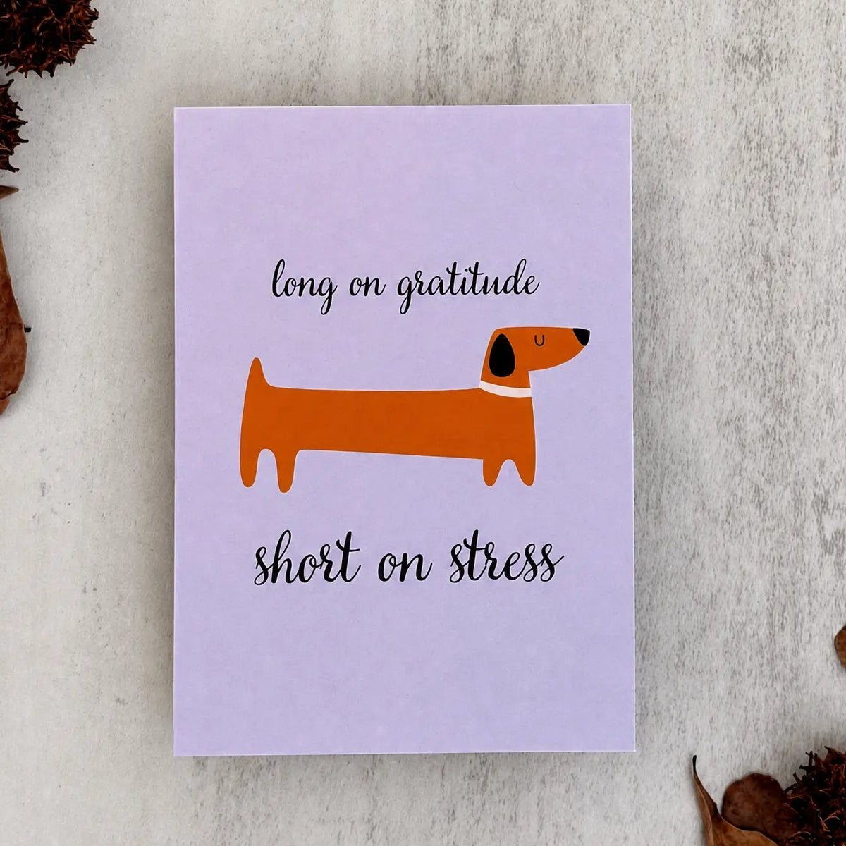 A square greeting card with a light lavender background, featuring a cartoon dachshund in orange and black with the text 'long on gratitude' above and 'short on stress' below. The card is styled in a flat-lay on a textured light gray surface with dried brown leaves and spiky seed pods in the corners.