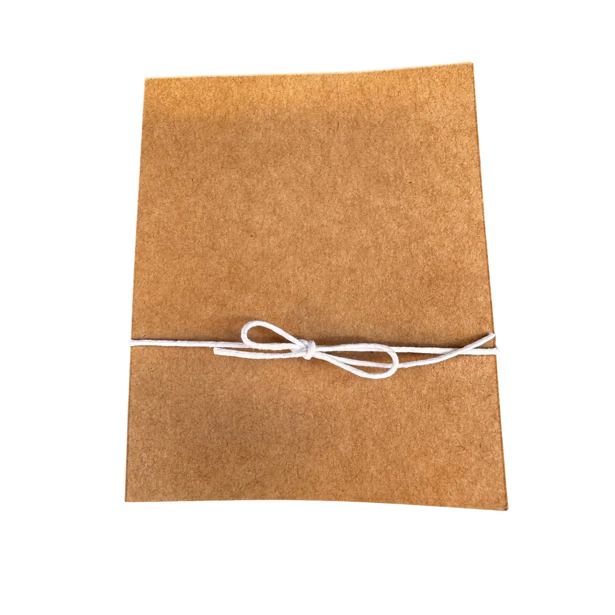 Brown paper envelope tied with white string on a white background