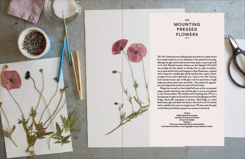 Booklet on mounting pressed flowers with dried flowers and tools on a table.