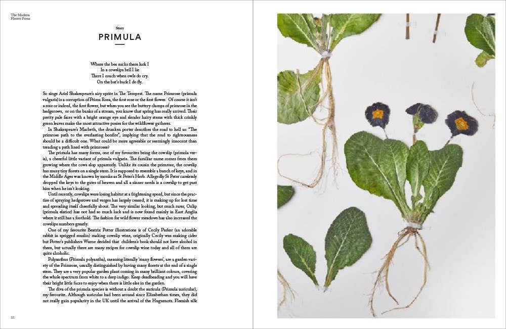 Book page with text on the left and a pressed plant illustration on the right