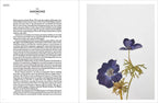 Book page with text on the left and a illustration of a purple flower on the right