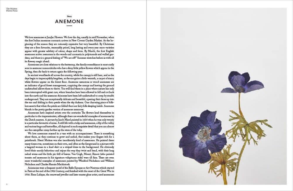 Book page with text on the left and a illustration of a purple flower on the right