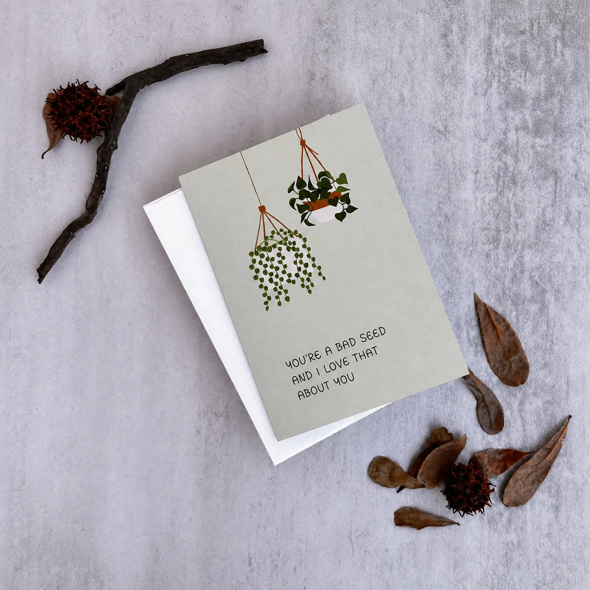 A square greeting card with a light gray-green background, featuring an illustration of two hanging green plants and the printed message 'YOU'RE A BAD SEED AND I LOVE THAT ABOUT YOU'. The card is displayed on top of a white envelope, styled with dried botanical elements on a textured gray surface.